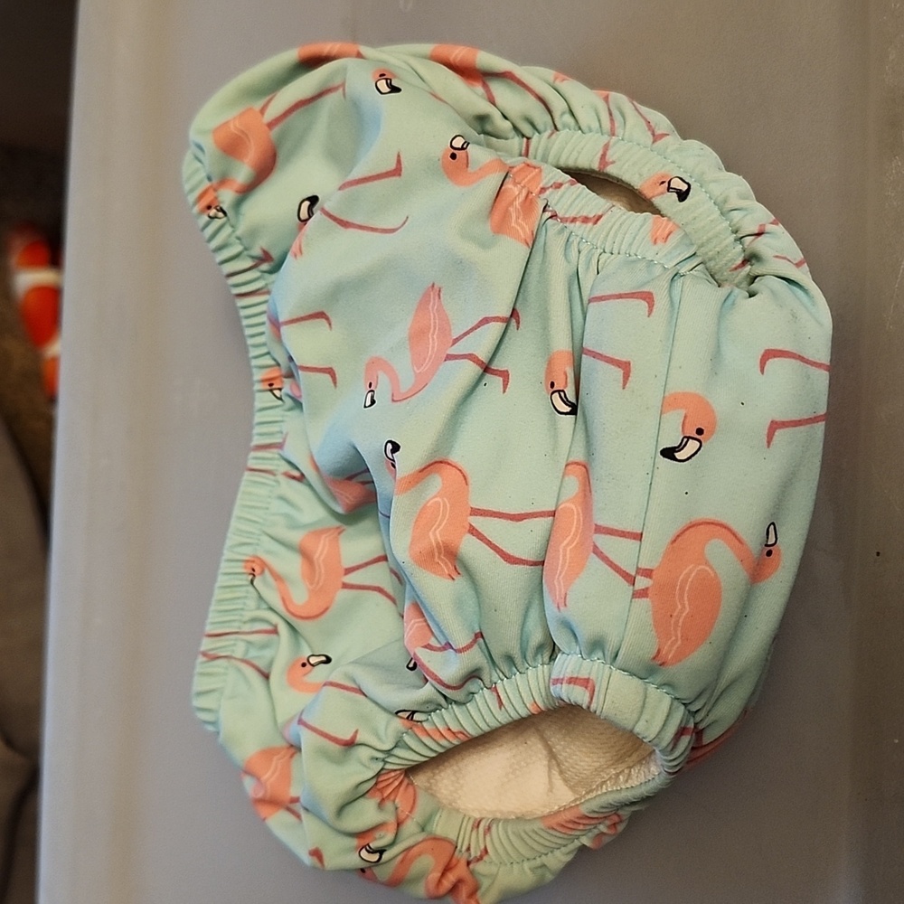 Baby bathing suit
